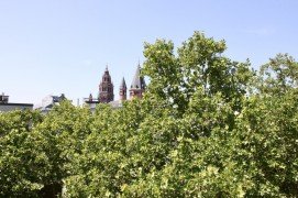 Hauptbild 3-Zimmer-Wohnung mit Dom-Blick